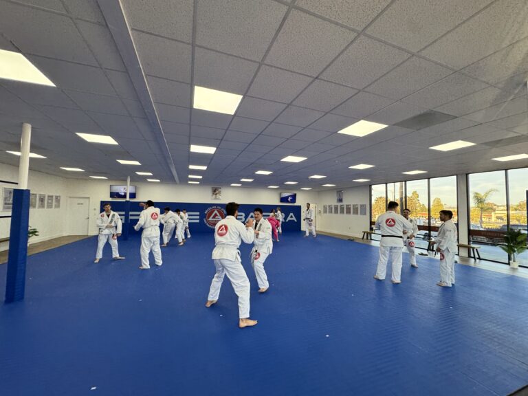 BJJ Classes Near Me