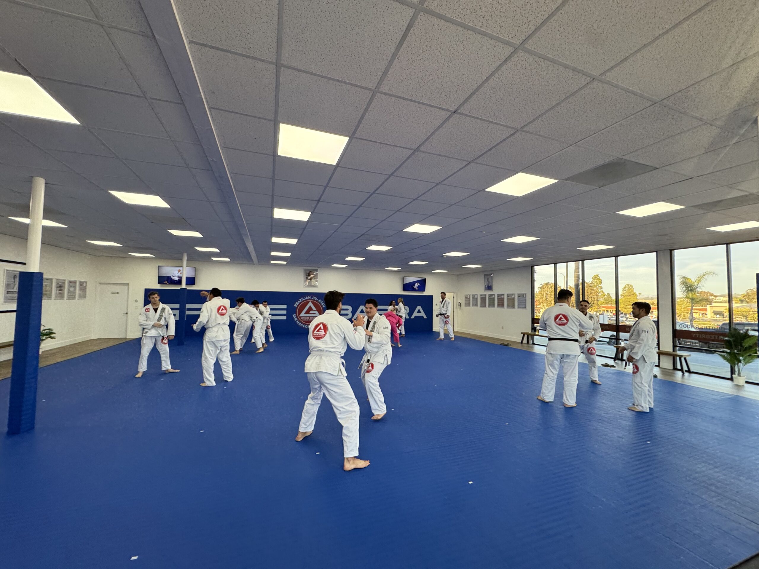 BJJ Classes Near Me