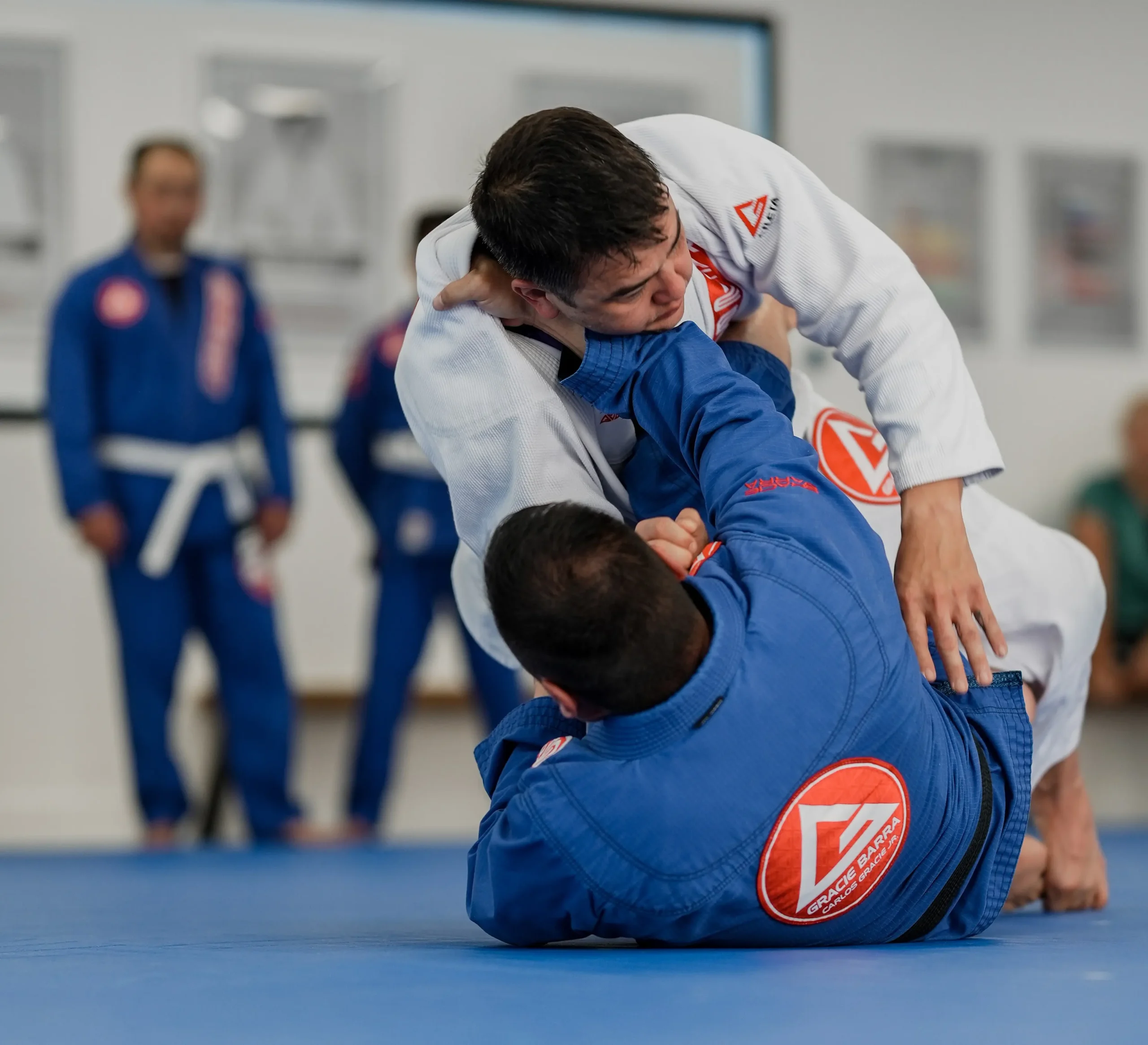 Advanced Jiu-Jitsu practitioners sparring and training at Gracie Barra San Marcos academy